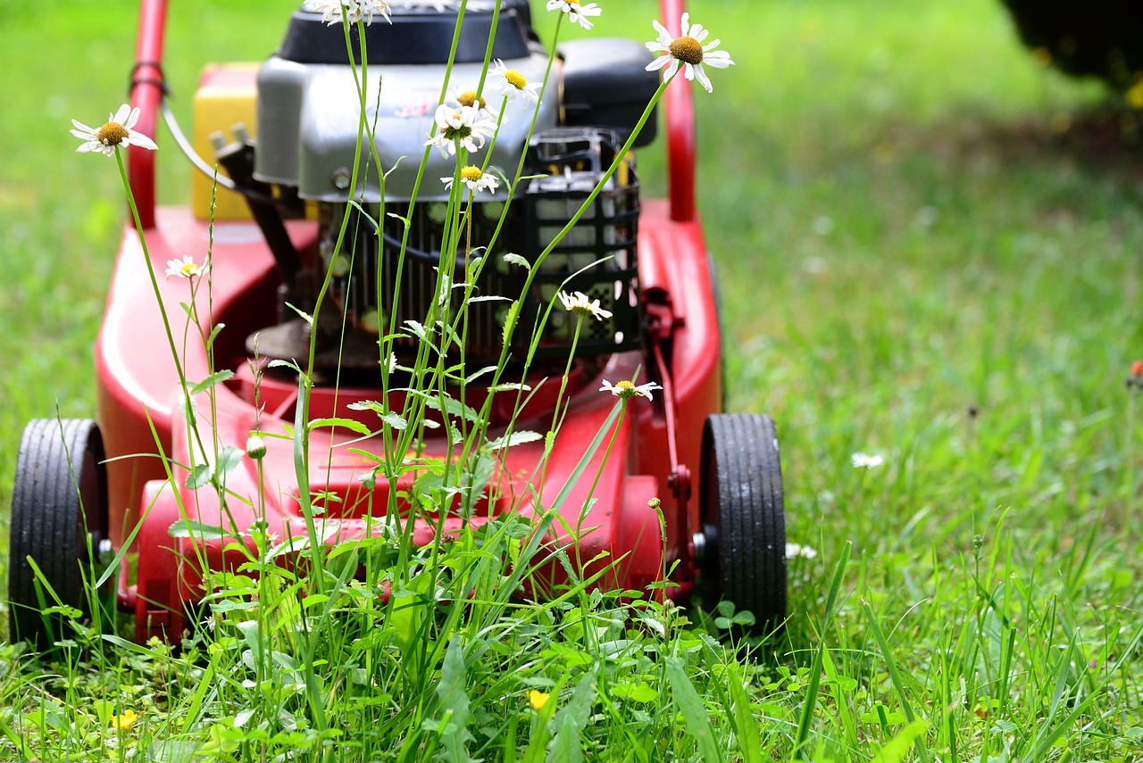 Gartenarbeit Gartenarbeit